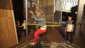 Алиса и Лева в IMG park for children! Классный парк развлечений для детей !