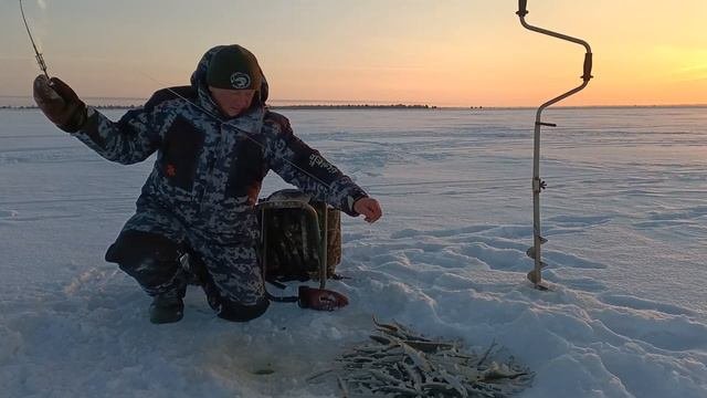 Карелия. Беломорск. Белое море. Корюшка. 07.02.24г.