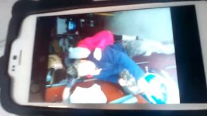 Моя галерея в телефоне