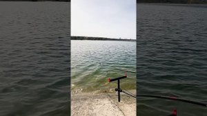 Атмосфера фестиваля по фидерной ловле, а также немного Евгения - победителя соревнований