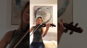 Zayn ft. Sia Dusk Till Dawn Violin Cover - Sophie Violiniste