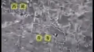 Как отличить настоящий Кордицепс  mc