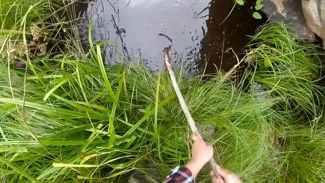 Загадочная постройка в лесу смотреть онлайн