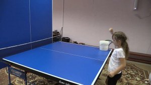 Настольный теннис в ДОУ