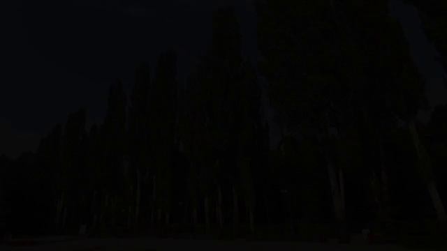 Почему в Советском Союзе повсеместно высаживали тополя смотреть онлайн