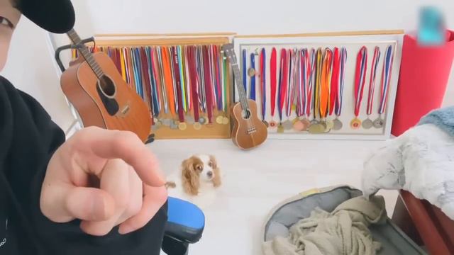 (ENG SUB) Chan's Room🐺 Ep. 172 - Home смотреть онлайн