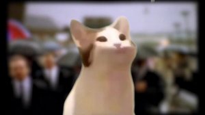 Pop Cat - Scatmans World