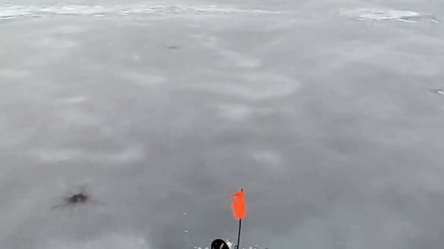 Зимняя рыбалка на щуку и окуня в городе Харьков смотреть онлайн