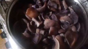 Маринованная синеножка  Вкусный посол!