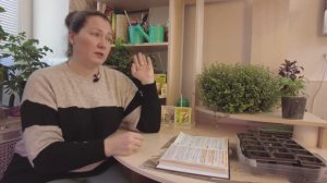 ДЕСЯТЬ ПРИЧИН ПОЧЕМУ НЕ РАСТЕТ РАССАДА ТОМАТОВ И ОГУРЦОВ ДОМА. УСЛОВИЯ ДЛЯ ИДЕАЛЬНОЙ РАССАДЫ