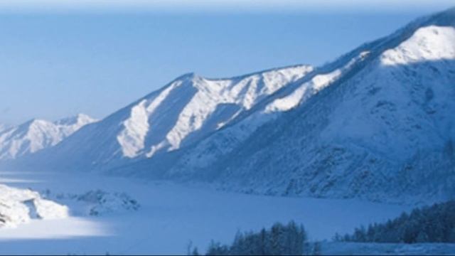 Выращивание баклажанов в сибири лучшие сорта