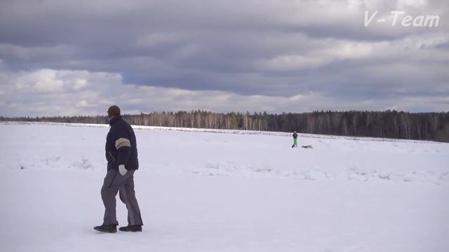 Русская псовая борзая BURHAN BELOKUR. МЗ-2017. смотреть онлайн