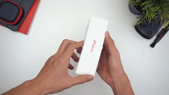 IPHONE MURAH 2021 | REKOMENDASI IPHONE LAYAK BELI DI TAHUN 2021