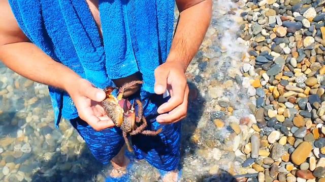 ДИВНОМОРСКОЕ! ИДЕАЛЬНОЕ МОРЕ! ПОГОДА 17 ИЮНЯ 2022 смотреть онлайн