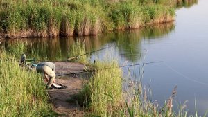 Рыбалка на Ворошиловском озере. Ловля толстолобика.