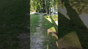 Горный Алтай турбаза Турсиб
