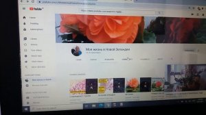 КАК НАЙТИ НУЖНОЕ ВИДЕО на КАНАЛЕ "МОЯ ЖИЗНЬ в НОВОЙ ЗЕЛАНДИИ"