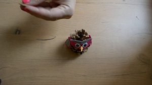 Как сделать сову из шишки. Поделки из шишек.