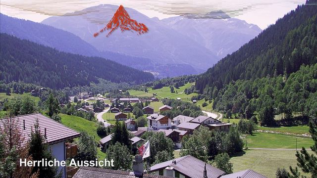 Chalets Primeli und Krokus