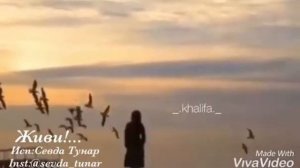 Живи!Пока тебе живётся !Устал?Возьми и отдышись!Упал?Держись за руку друга!А если друга нет..Молись