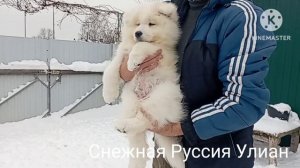 Снежная Руссия п-к Самоедов