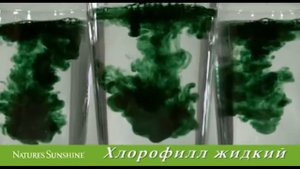 Хлорофилл Жидкий