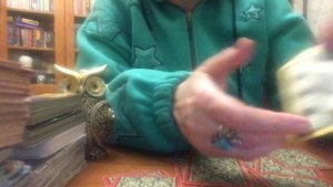 Крестовый король где и с кем он сейчас ❓❤️♠️♦️♣️??????