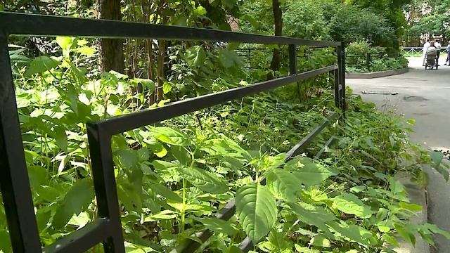 (12+) Проект Губернатора Подмосковья А. Воробьева «Умная коммуникация» на ул. 1-й Крестьянской смотреть онлайн