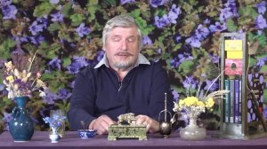 С. Савельев. Как решить все наши проблемы.mp4