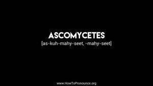 How to Pronounce "ascomycetes"