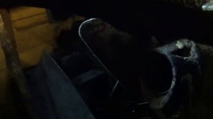 pitbike-fire tube! / питбайк-огонь из трубы