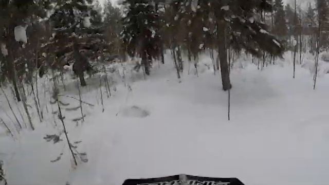 Tundra в лесу смотреть онлайн