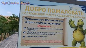 Опасное место Дагестана ШОК ядовитые змеи, мы пошли туда | Бархан Сарыкум | КАК ДОБРАТЬСЯ