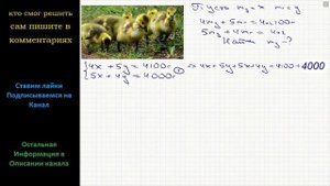 Математика Четыре утенка и пять гусят весят 4 кг 100 г, а пять утят и четыре гусенка весят 4 кг