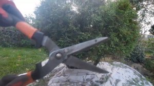 ОСЕННЯЯ СТРИЖКА ХВОЙНЫХ