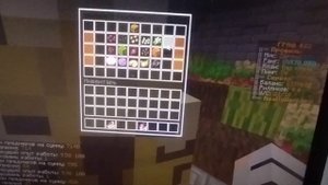 Развите с нуля до драгона Забираю шар огородника #reallyworld #майнкрафт #топ