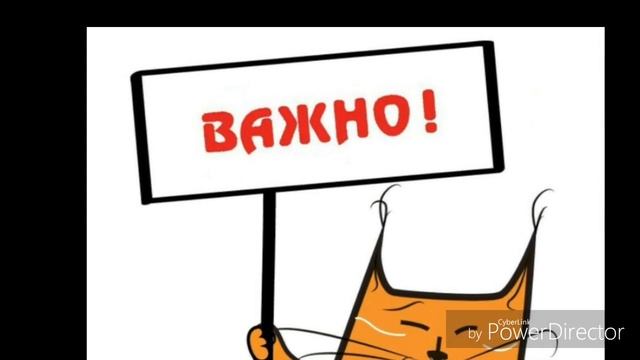 Виды домашних цветущих кактусов