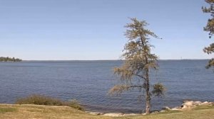 Как лучше пить кефир утром или вечером: ошеломительные сведения о белом напитке