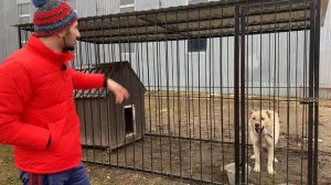 Тракторист сбежал! Нужен механизатор!