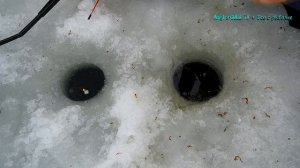 ???Ловля плотвы зимой. Озернинское водохранилище. Экшн-рыбалка.