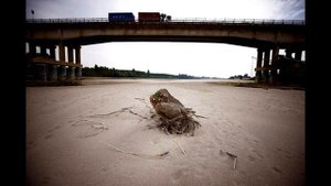 Сильнейшая засуха в Европе за последние 500 лет
