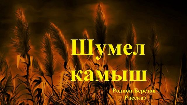 Шумел камыш.. (рассказ)