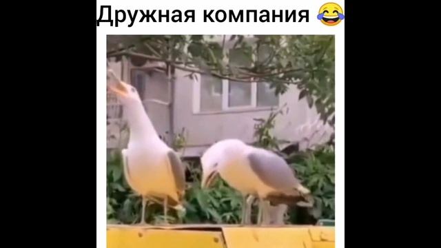 приколы 2022 #25