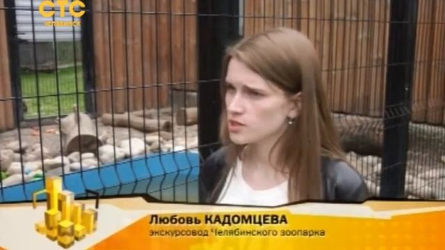Перед чудесами любви никакая выдра не устоит смотреть онлайн