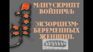 Смотреть Всем! Манускрипт Войнича, Экзарцизм вампиров. Перевод с Чаромутного русского.