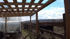 Мобильная уличная кормушка для КРС . Не много про коров .