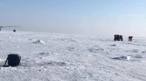 Ловим глубинного омуля на Байкале.