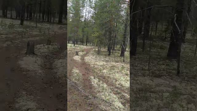 Встреча со СЧ ранее 3. смотреть онлайн