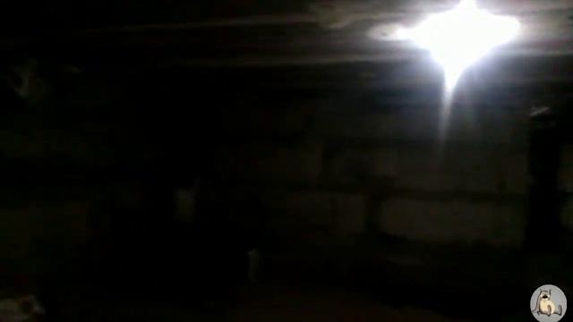 Подвал дома Тверская, 19 смотреть онлайн