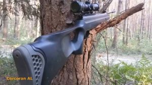 Пневматическая винтовка Hatsan 125 TH//Тест